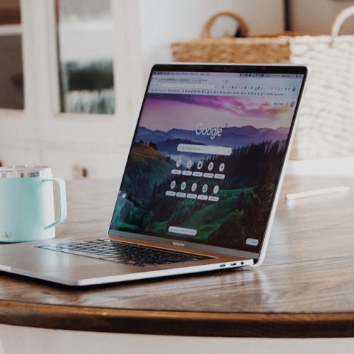 Centria is the leading online reputation management service in Peachtree Corners (Georgia)