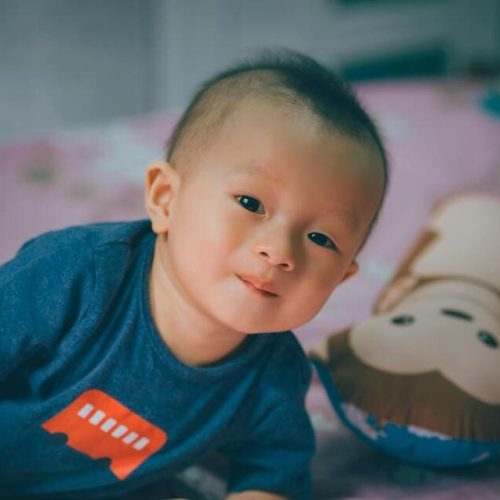 Alternatives for infertility in Japan: surrogacy or adoption