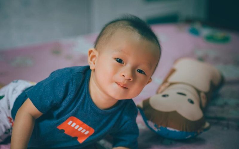 Alternatives for infertility in Japan: surrogacy or adoption