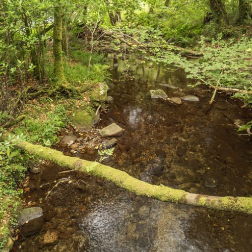 Max van Rijswijk on the Mesoamerican Biological Corridor’s impact