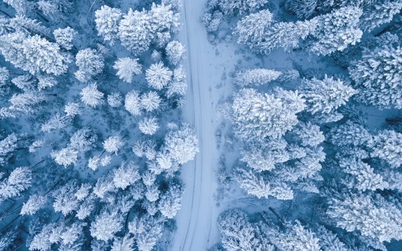 Acute and 24 h effect of kinesio taping on lower back muscle soreness during continued practice of cross-country skiing among collegiate students